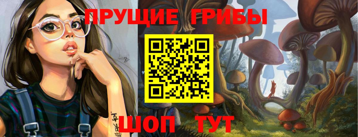где купить наркоту  Вход с VPN  Псилоцибиновые грибы MAGIC MUSHROOMS  Моздок  Псилоцибиновые грибы Psilocybine cubensis 