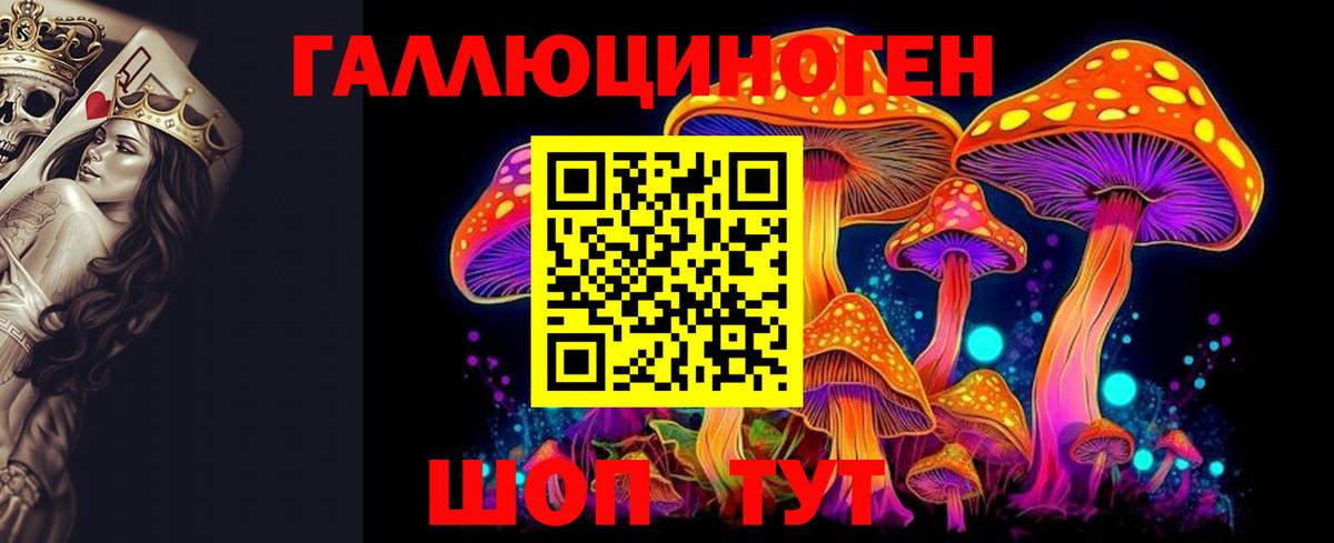 Псилоцибиновые грибы прущие грибы Моздок
