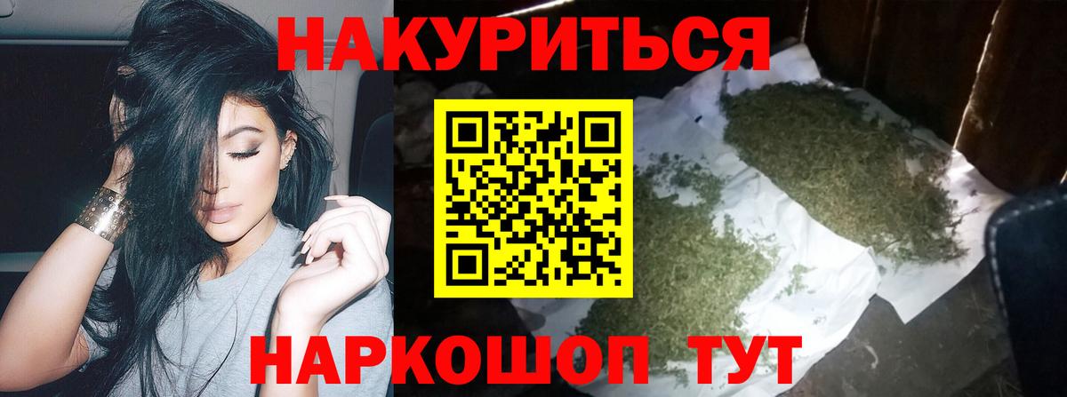 Бошки марихуана сатива Моздок